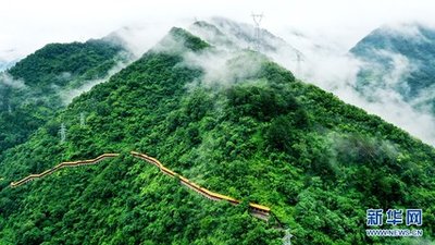 顆粒歸倉(cāng)！各地開(kāi)展“雙搶”打贏秋收“攻堅(jiān)戰(zhàn)”