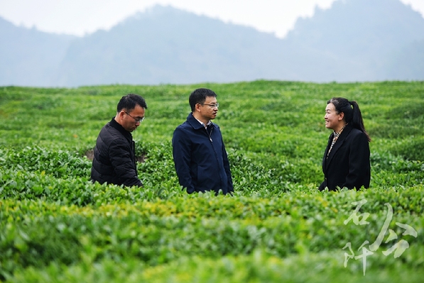 躬身為橋 緊盯供需連接山海 ——記廣東省粵黔協(xié)作工作隊銅仁工作組石阡小組組長，石阡縣委常委、副縣長李浩泉